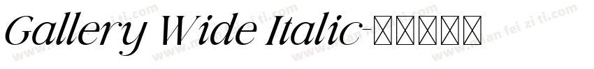 Gallery Wide Italic字体转换